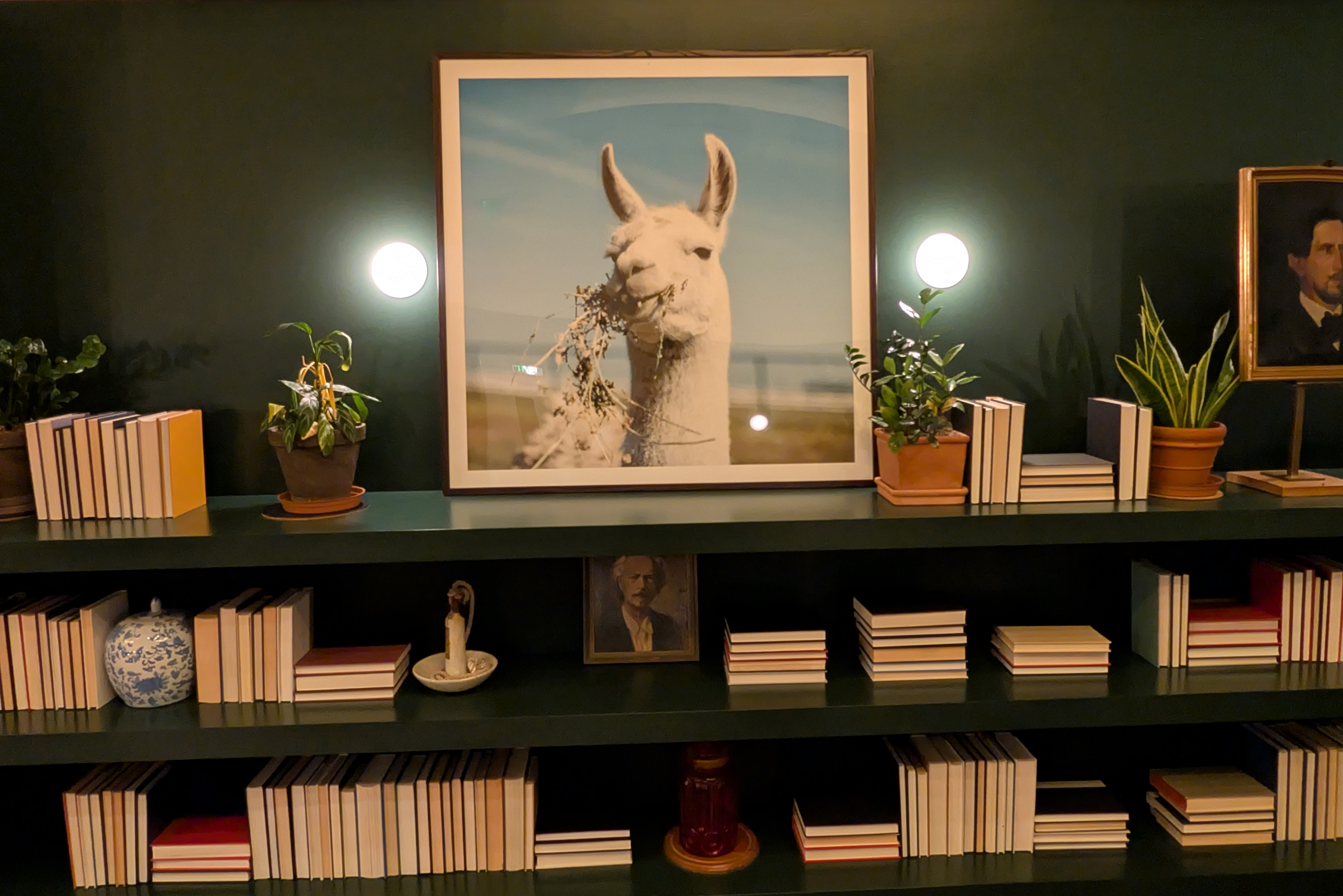 Wide landscape shot at sunset of rolling green hills.