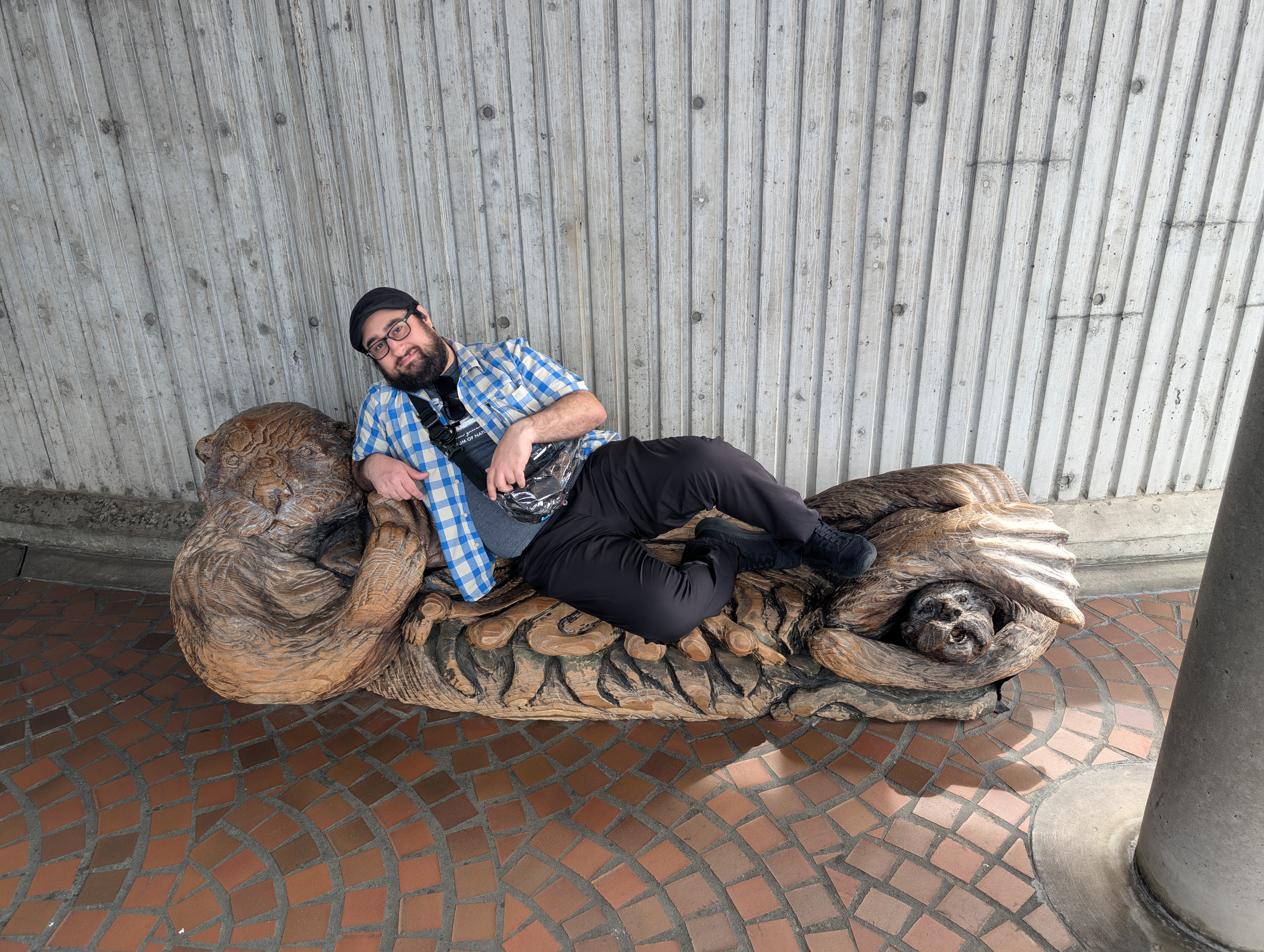 dried flowers hanging on the wall