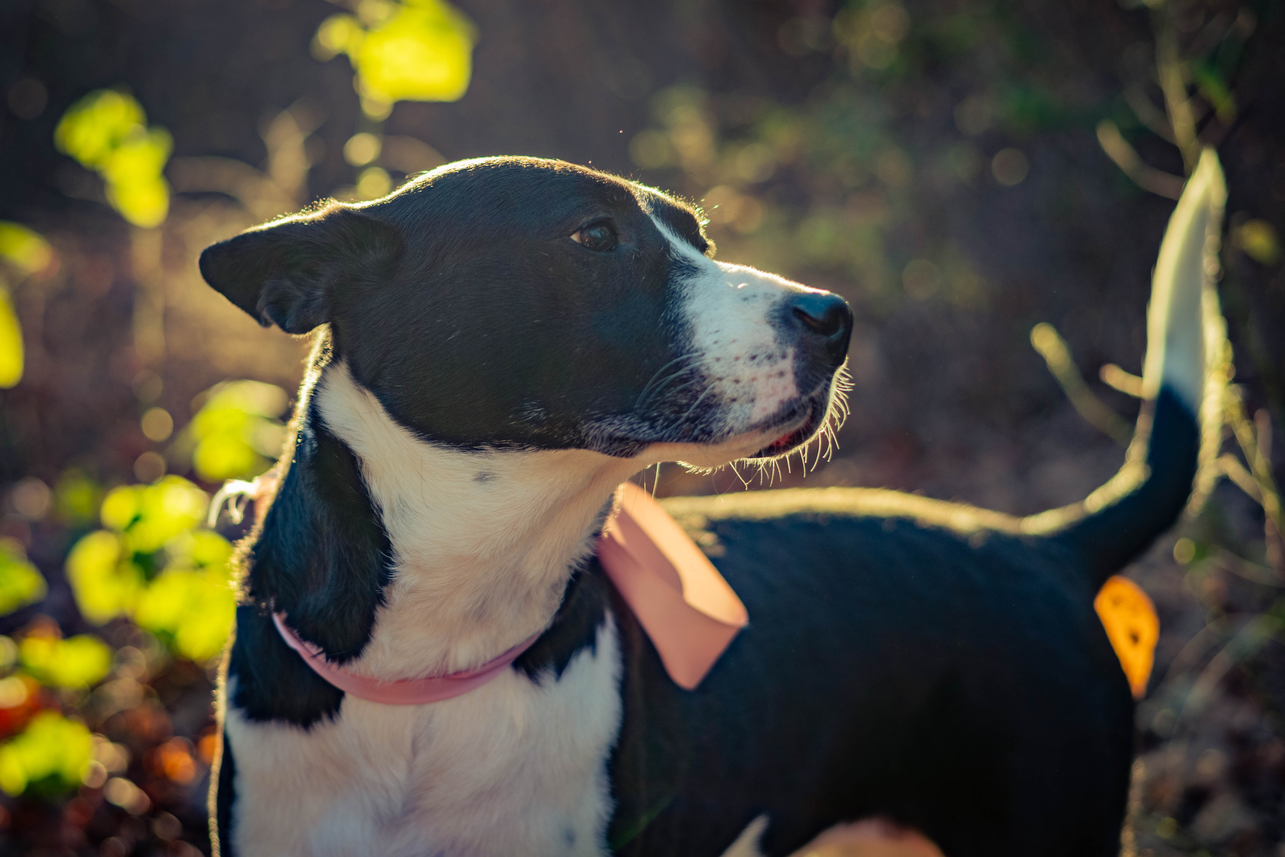 Close up of married couple's hands giving knuckles.