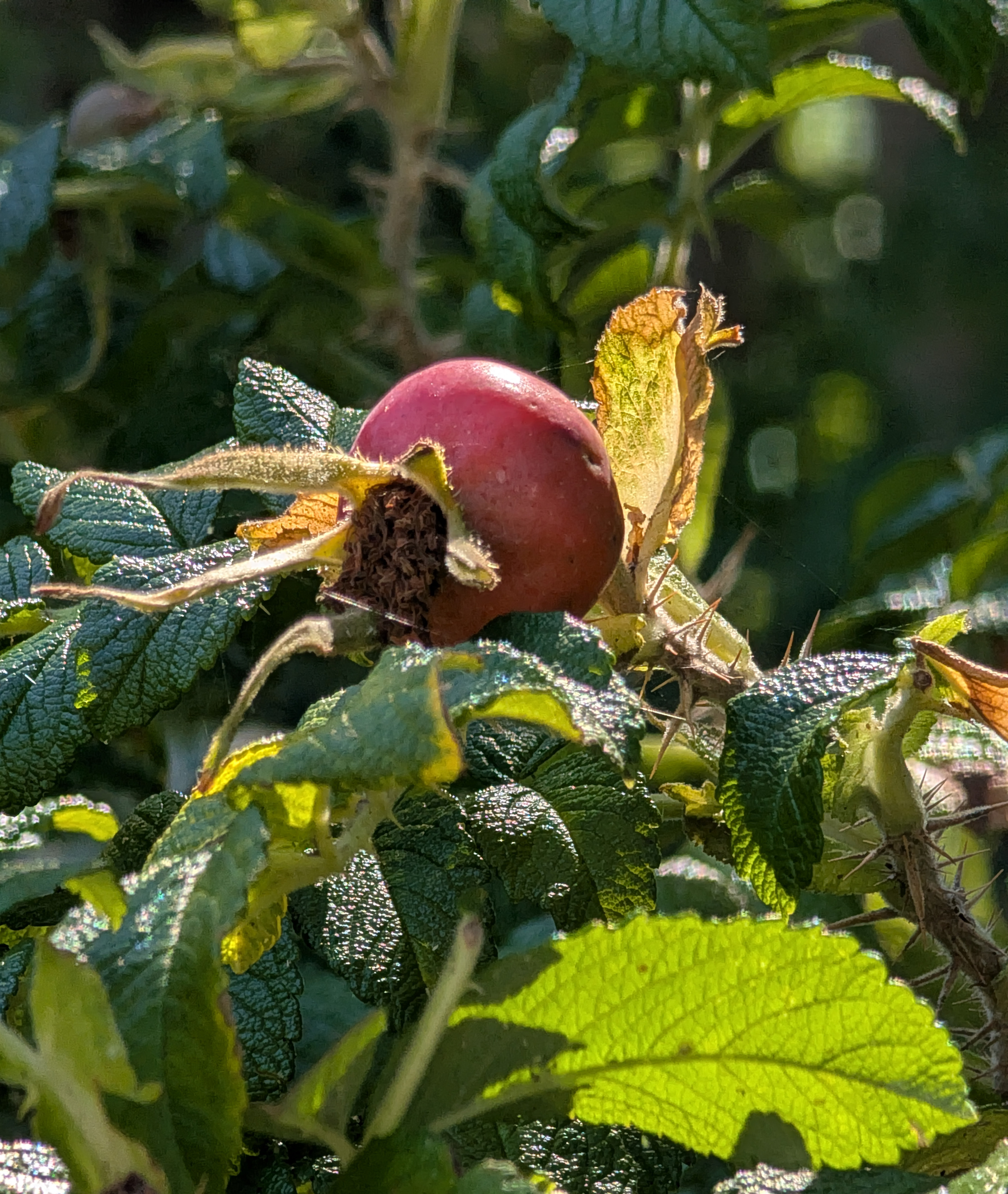 Cropped photo of the exterior of the top floor of an old stone building.